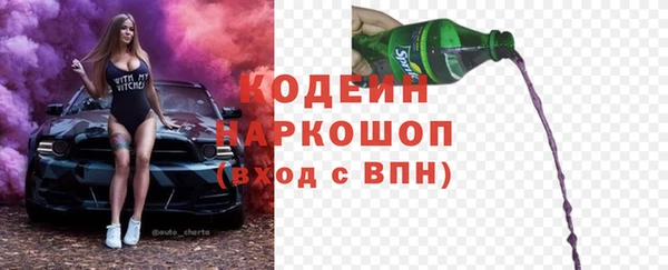 прущие грибы Ельня