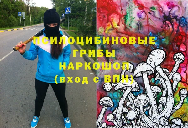 мдма Елизово