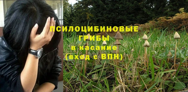 герыч Заводоуковск
