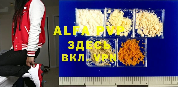 прущие грибы Елабуга