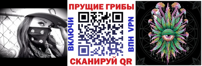 Купить закладки Калач-на-Дону Псилоцибиновые грибы Psilocybine cubensis